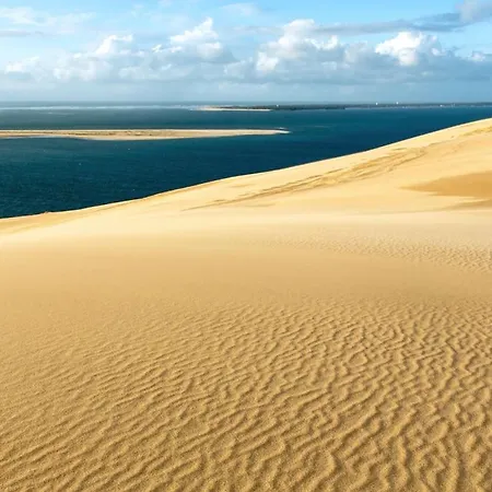 Bel 2 Pieces Proche Arcachon, Et Port Apartment *
